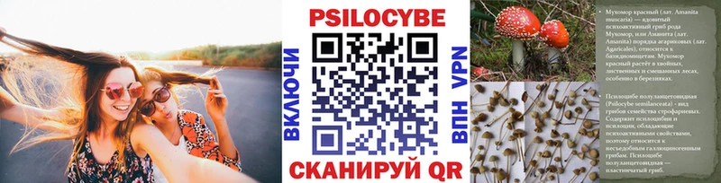 mega ссылка Воронеж Псилоцибиновые грибы мицелий