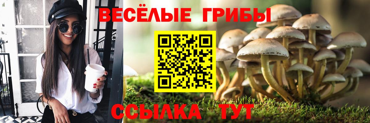 Псилоцибиновые грибы Cubensis Воронеж