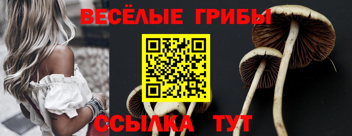 Псилоцибиновые грибы Cubensis  Галлюциногенные грибы Cubensis  наркотики  Воронеж  Вход с VPN 